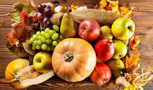 食品安全檢測儀靠譜嗎？出口貿(mào)易的監(jiān)督者