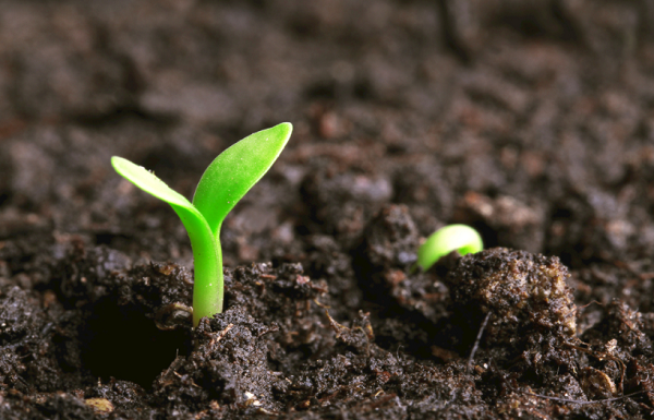 測土配方儀的應(yīng)用價值是什么？測土配方儀的應(yīng)用前景