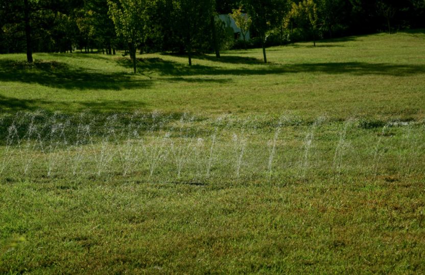 農(nóng)田智能化：土壤水分測定儀實(shí)時(shí)評估土壤水分狀況